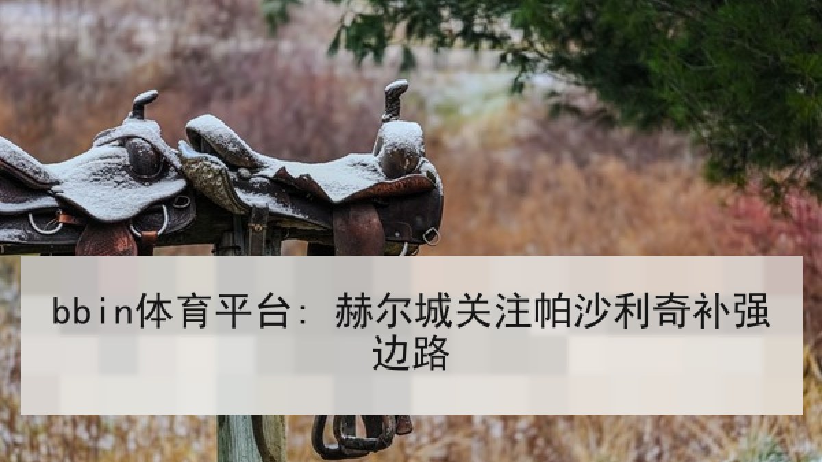 bbin体育平台: 赫尔城关注帕沙利奇补强边路